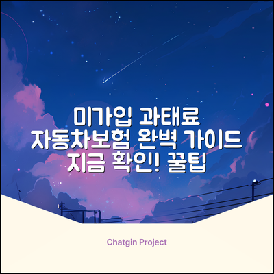 자동차보험 미가입 과태료 완벽 가이드