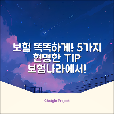 보험나라: 현명한 보험 선택 5가지 팁