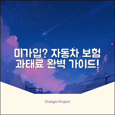 자동차 의무보험 미가입 과태료 완벽 가이드