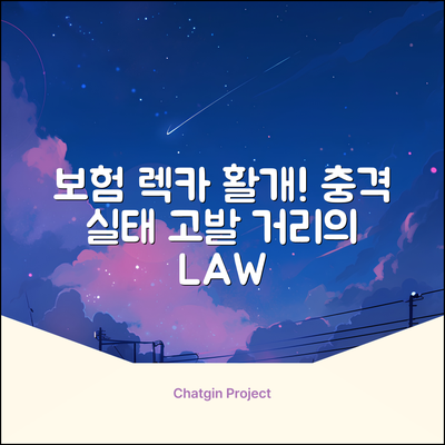 보험 렉카 거리 활개! 충격 실태 고발