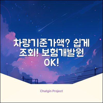 보험개발원 차량기준가액 조회, 누구나 쉽게!