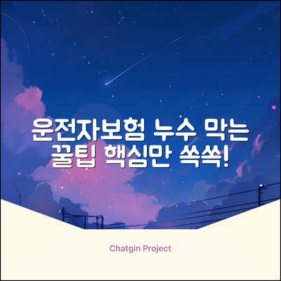 운전자보험 누수, 쉽게 막는 꿀팁🍯