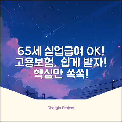 만 65세 이상도 OK! 고용보험 실업급여 쉽게 받기